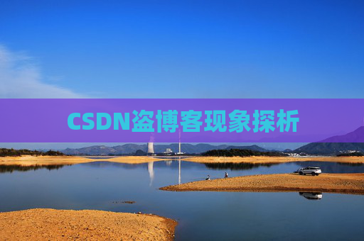 CSDN盗博客现象探析 CSDN盗博客现象探析